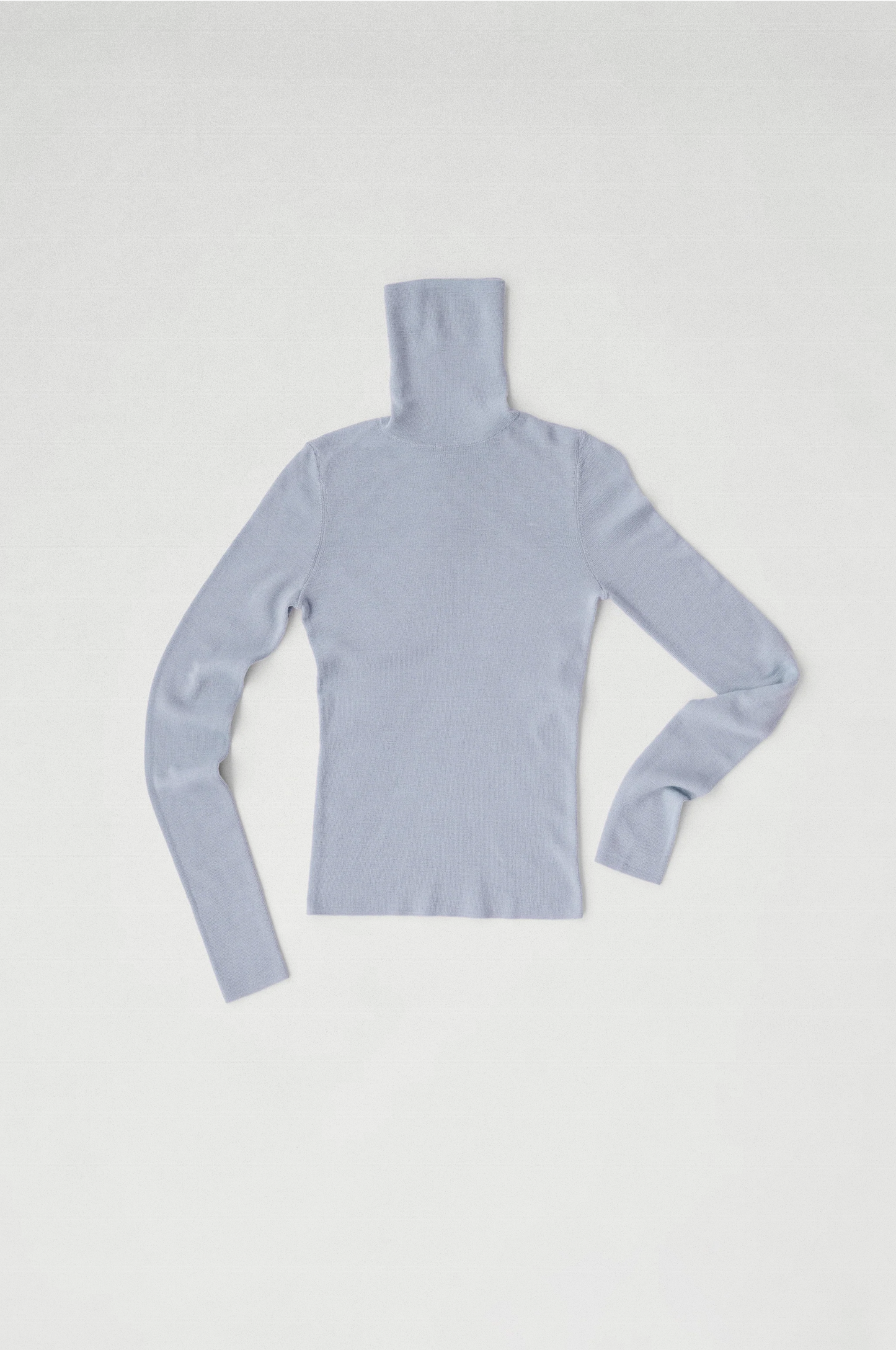 Cecilia Fitted Turtleneck