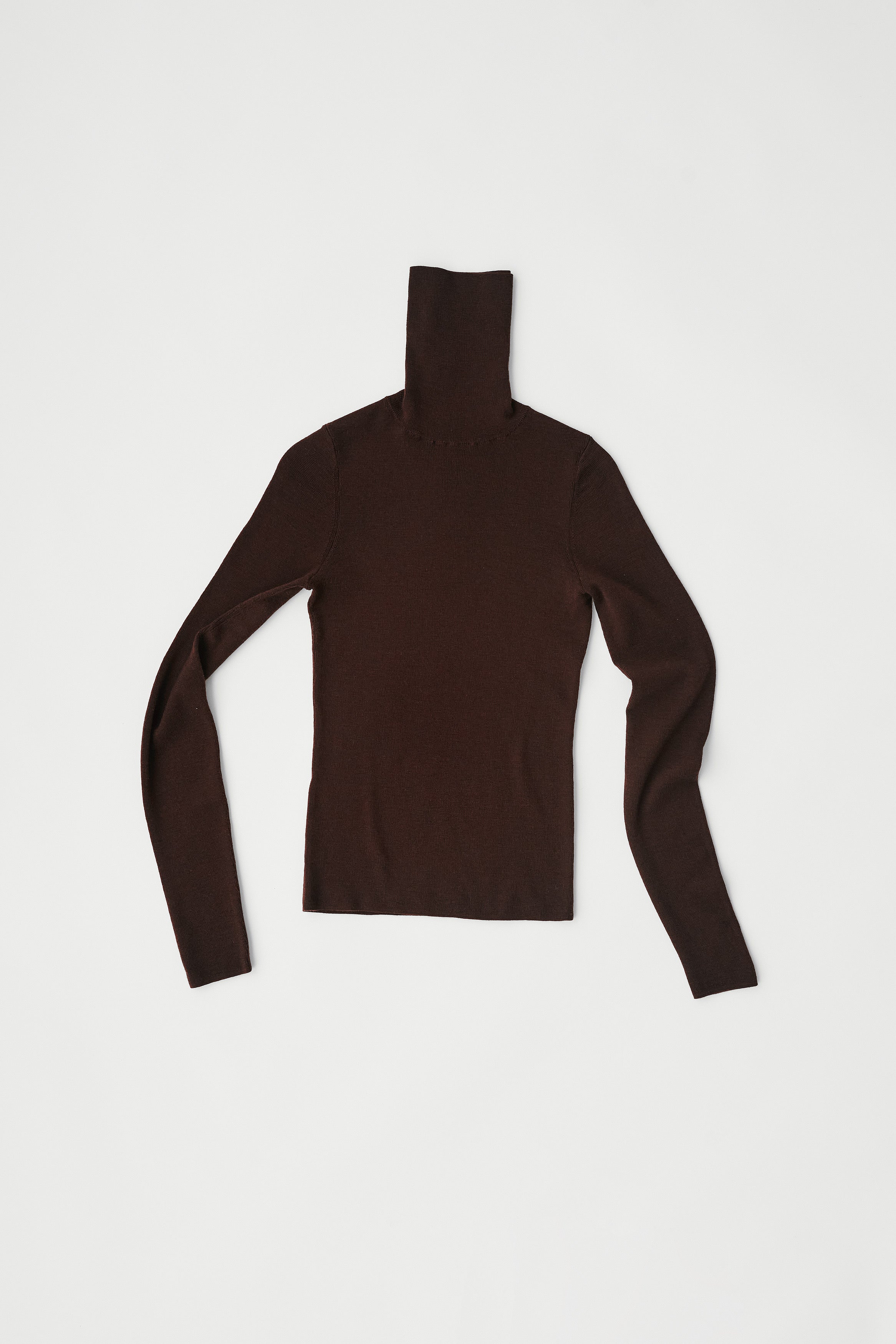 Fitted Turtleneck – Brown