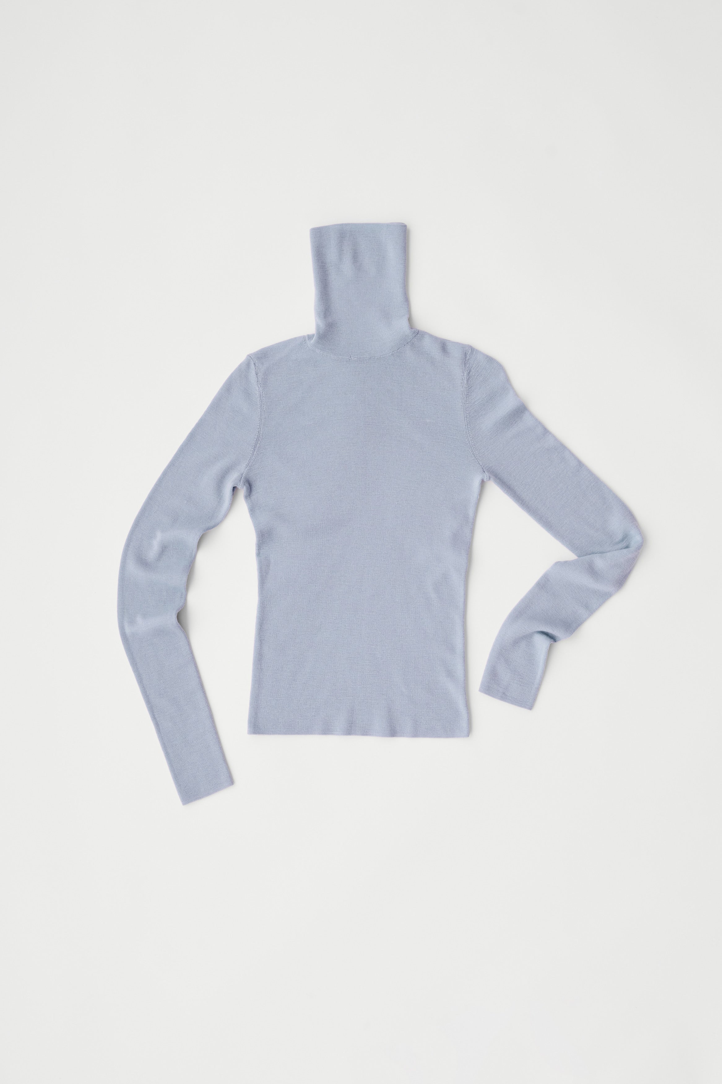 Fitted Turtleneck – Blue